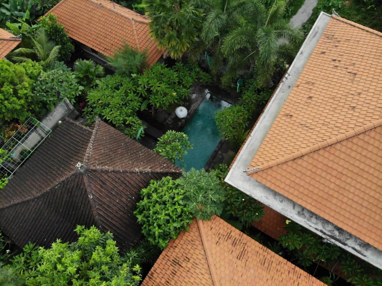 Jiwa'S House Hotel อูบุด ภายนอก รูปภาพ